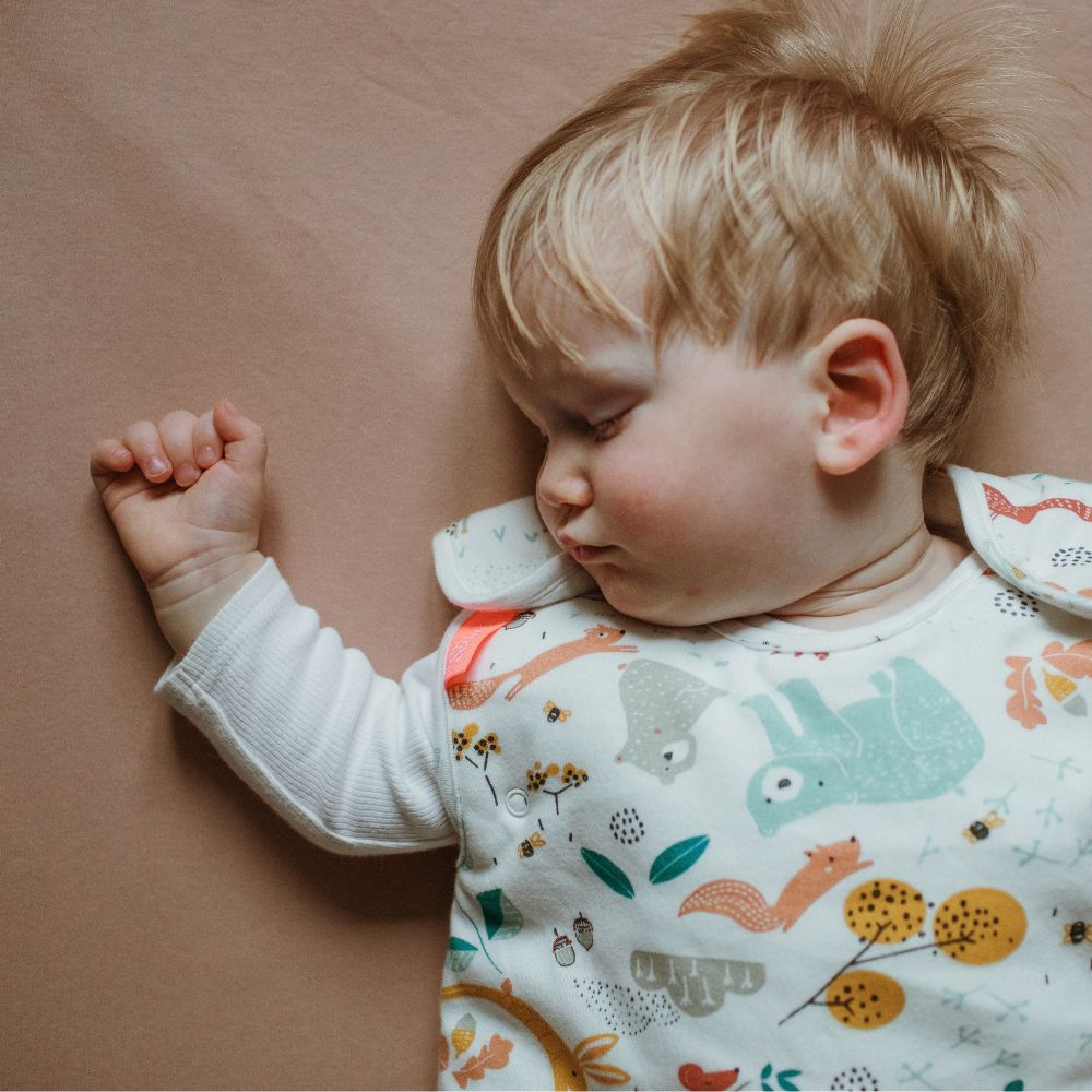 Folktails Organic Baby Sleep Bag 3 month+