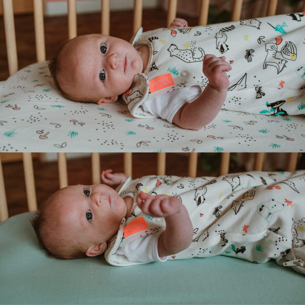 Wild Wood Organic Cotton Fitted Sheets