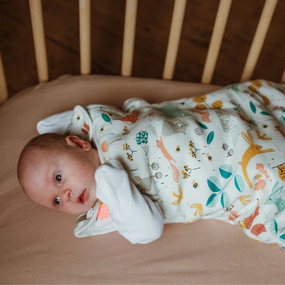 Folktails Organic Baby Sleep Bag